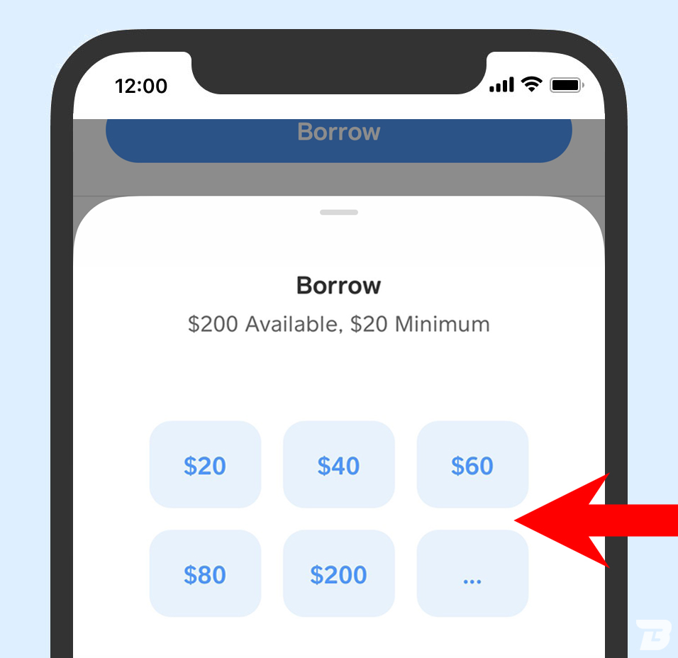 A screenshot of the Cash App borrow amount screen. 